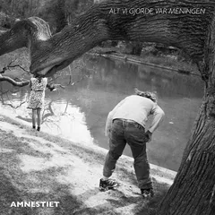 Amnestiet - Alt Vi Gjorde Var Meningen