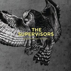 the-supervisors-supervising-the-industry